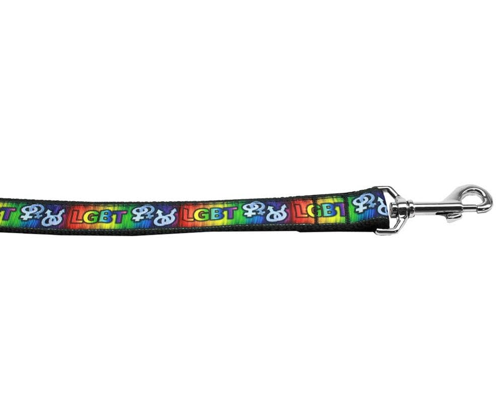 Pet Dog & Cat Nylon Collar or Leash, "LGBT" 1" w x 4 ft. leash