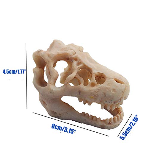 Mtghyare Dinosaur Aquarium Decorations Skull Aquarium Ornament Mini Dinosaur Mold Decoration Tank Reptile Hide Decor With Holes