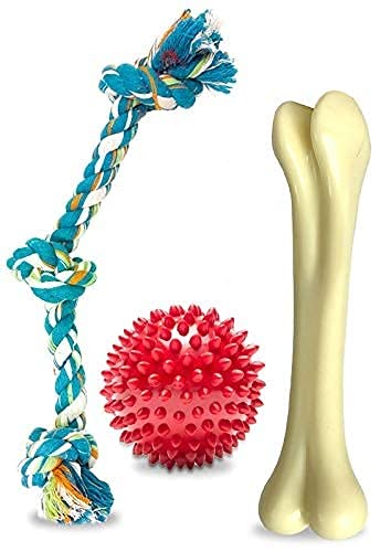 Dog Trust Dog Rope Toy For Chewing And Teething, Natural Rubber Dog Bone Chew Toy, Puppy Teething Toy & Rubber Dental Puppy Teet