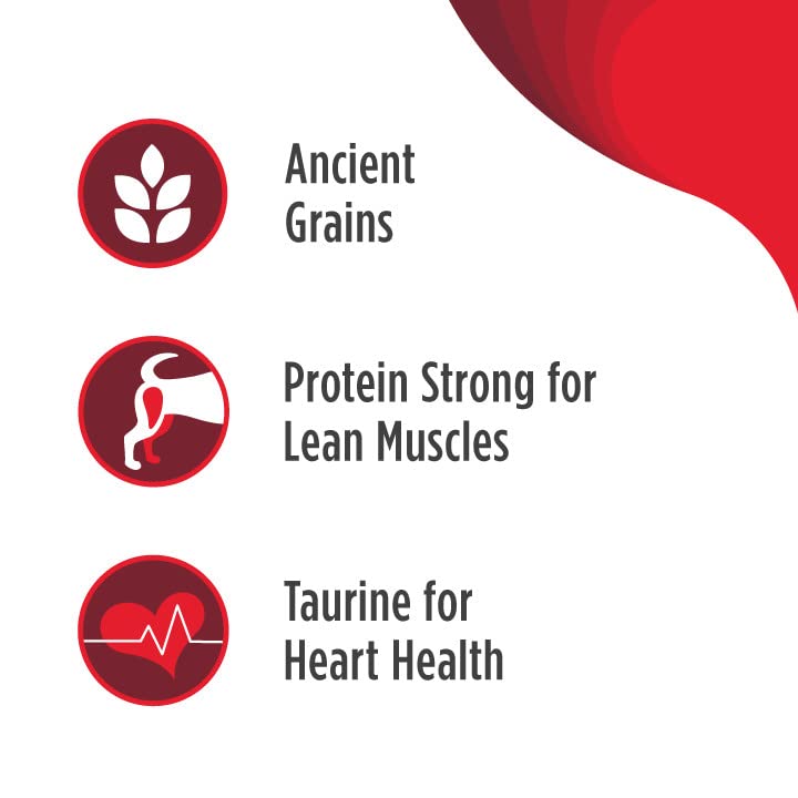 Nulo Frontrunner Ancient Grains High-Protein Dog Food, Beef, Barley, & Lamb Recipe- Natural Dry Dog Food with Probiotics, Grain-