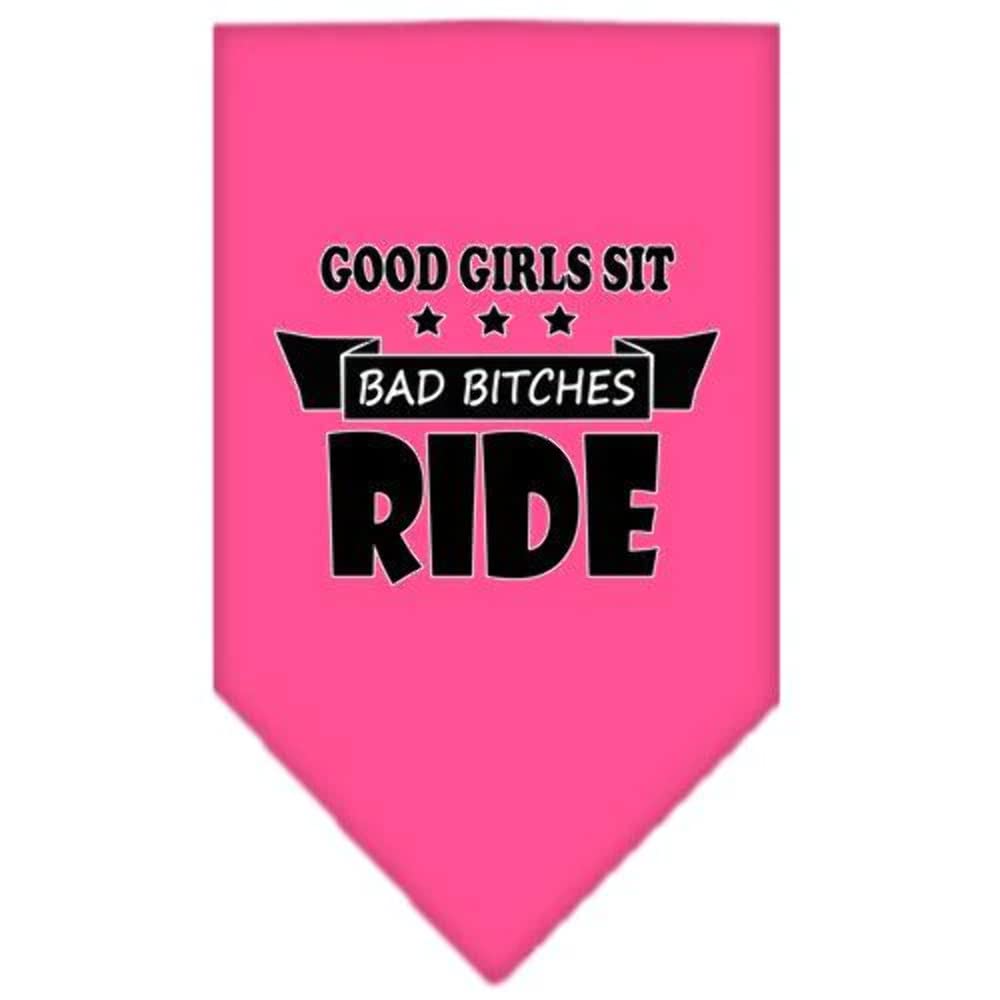 Mirage Pet Product Bitches Ride Screen Print Bandana Purple Small