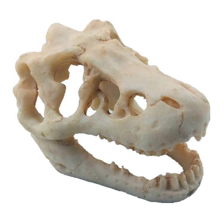 Mtghyare Dinosaur Aquarium Decorations Skull Aquarium Ornament Mini Dinosaur Mold Decoration Tank Reptile Hide Decor With Holes 