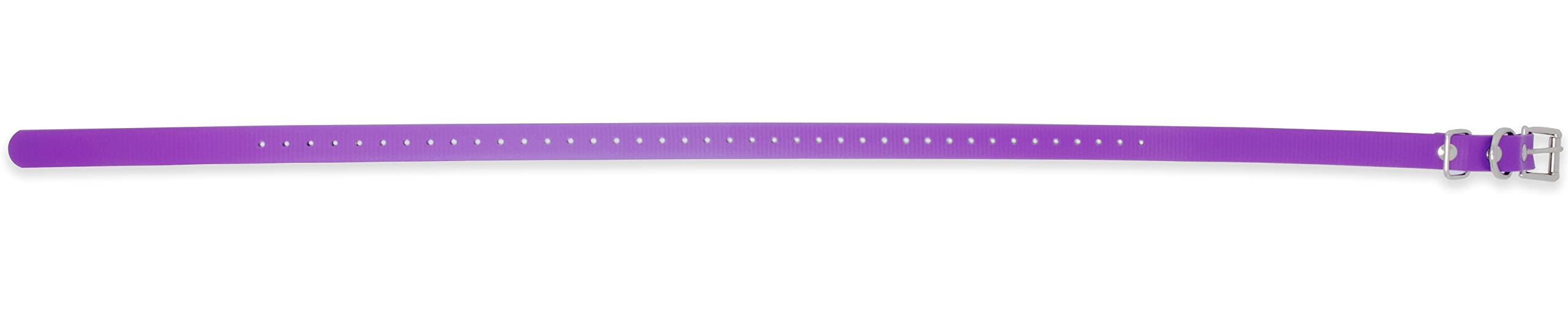 Educator Biothane Dog Collar, Waterproof, Odorproof, Metal Buckle And D Ring, Adjustable For Custom Fit, Cool And Comfortable, For Small, Medium, Or Large Dogs, 3/4-Inch, Purple