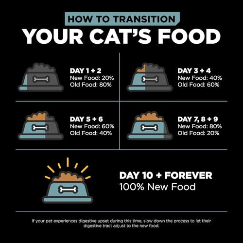 Go! Solutions Digestion + Gut Health Chicken Dry Cat Food, Premium-Quality Kibble for Gastrointestinal & Digestive Wellness, Sup