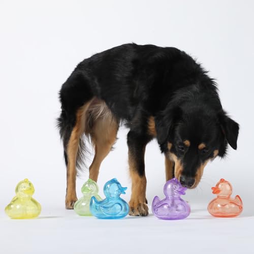 Squeaker Duck- Medium
