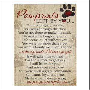 Pawprints Pet Memorial Frame with Pawprints Left by You Poem - Touching Dog Sympathy Gift for Pet Loss Remembrance (Frame With A
