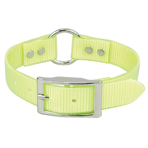Omnipet Sunglo Ring-In-Center Dog Collar, 1' Wide, Yellow, Fits 12'- 15.5' Neck Sizes, Vibrant Colors & Tough Construction Fo