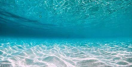 Dtekoj 48X18IN Natural Undersea Aquarium Background, Undersea Beach Fish Tank Background, with 8 EVA Double-Sided Tape