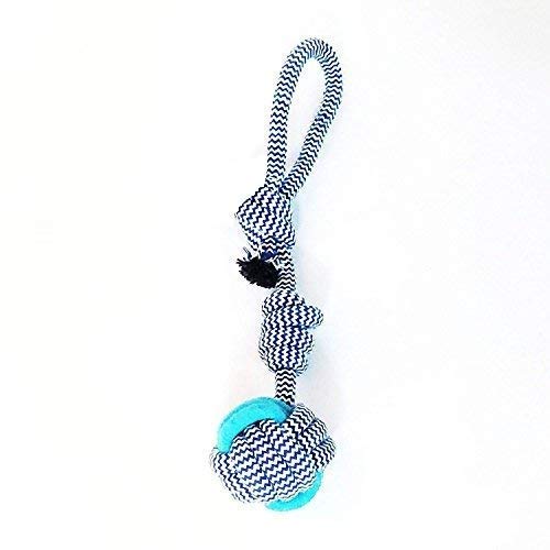 Pet Believe Single Knot Dog Rope Toy For Puppy Teething, Chew Dog Toys For Small Dogs & Puppies
