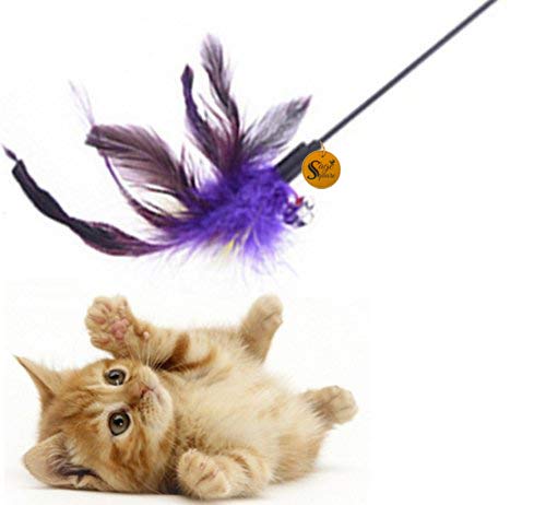 Sage Square 50 Cm Jumbo Size Pet Friendly Cat Toy/Feather Teaser Stick/Training Toy For Cat/Kitten/Puppy (1 Pcs)