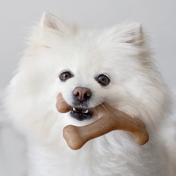 Benebone Set Of 1 Fishbone/Wishbone Durable Dog Chew Toys, Real Fish, Real Bacon, Made In Usa, Small