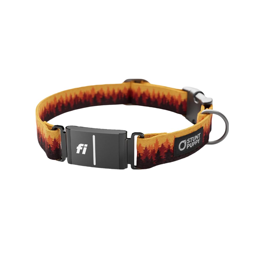 Stunt Puppy Dog Collar, Fi Series 3 Ready, Pines Orange, Medium - Compatible With Fi Gps Device (Not Included)