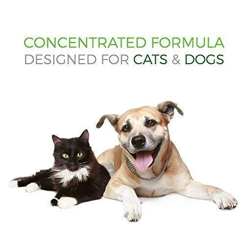 Pet Vitamin Co - Krill Oil Shed-Free Soft Chews for Dogs - Reduce Shedding & Itching - Rich in Omega 3 & Antioxidants - Improves