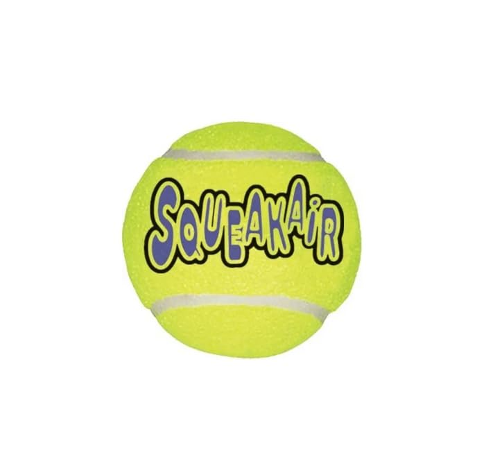 Squeakair Ball Bulk X-Large
