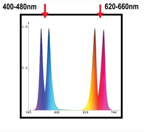 Innovative Marine Chaetomax Refugium Led Light (9 Watt)