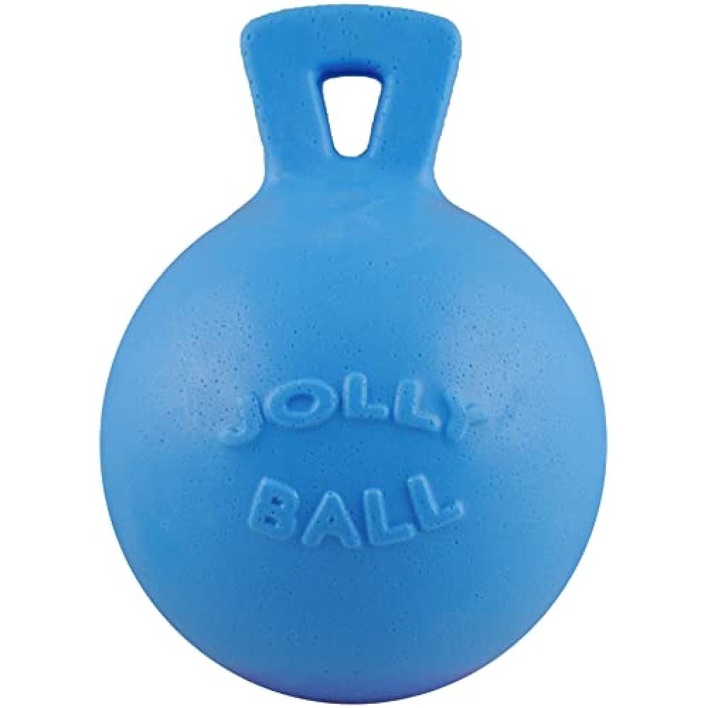 Jolly Pets Tug-N-Toss Heavy Duty Dog Toy Ball With Handle, 8 Inches/Large, Blueberry