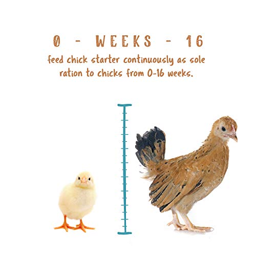 Manna Pro Non-Medicated Starter Crumble Feed for Chicks & Ducklings|Formulated with Vitamins & Minerals|5 Pounds