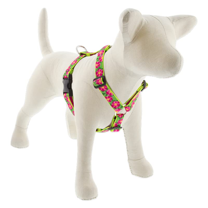 Lupine Adjustable Dog Harness in 1'' Wide Petunias with 24-38'' Girth