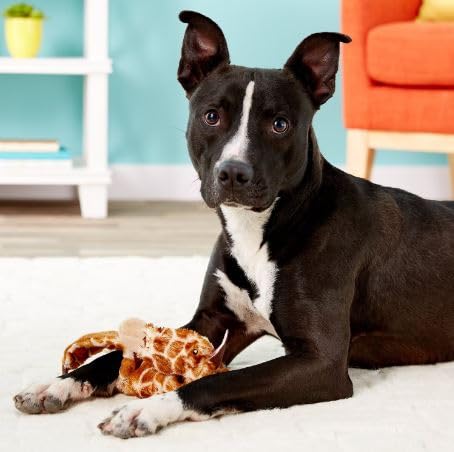 Spot Mini Skinneeez Stuffless Dog Toy With Squeaker | Plush Tug Of War Giraffe Squeak Toy For Small And Large Dog Breeds | Interactive Dog Toy | Small