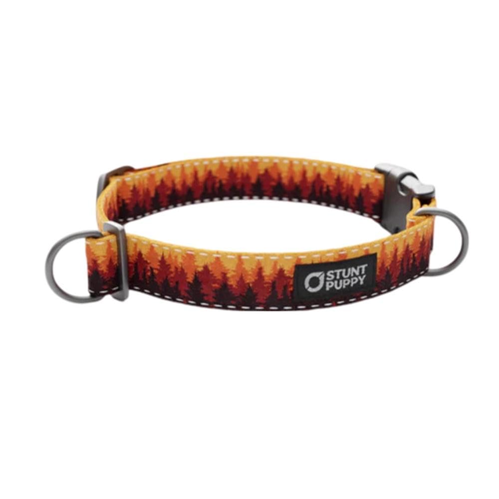 Pines Orange Everyday Collar, Extra Large