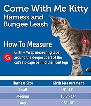 Come With Me Kitty Cat Harness & Bungee Leash Small Black