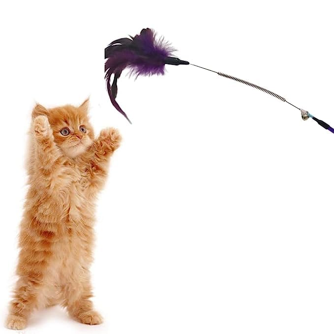 Kspups Durable And Non Toxic Cat Spring Feather Bell Rod Stick Interactive Toys Set Ideal For Chewing And Playing Cats & Kitten 