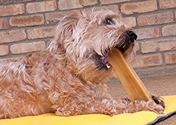 Downtown Pet Supply Yak Cheese Himalayan Dog Chews - Large Yak Chews Rich in Nutrients for Medium to Large Dogs - Long Lasting,