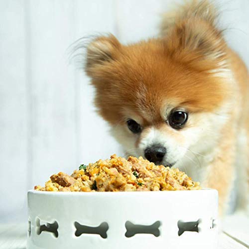 Portland Pet Food Company Fresh Dog Food Pouches - Human-Grade Topper Mix-Ins & Wet Pet Meals - Small & Large Breed Puppy & Seni