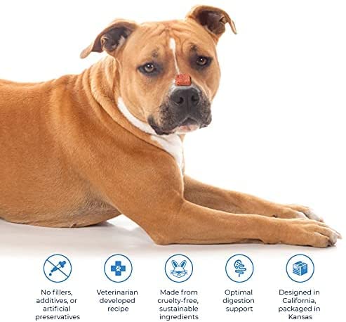 Wild Earth Superfood Dog Treats, Plant Based Dog Treats with Omega Acids, Prebiotics & Koji Protein, No Fillers, Veterinarian-De