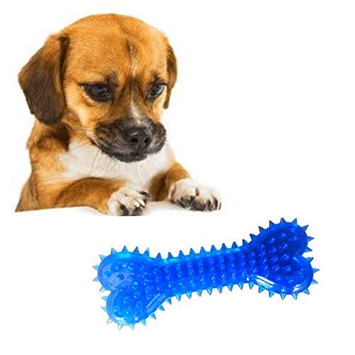 Psk Pet Mart 100% Non Toxic Rubber Flavoured Puppy Bone Toy Hard Spike Bone Chew Toy Teething Toy (Hard Spike Bone, Color May Va