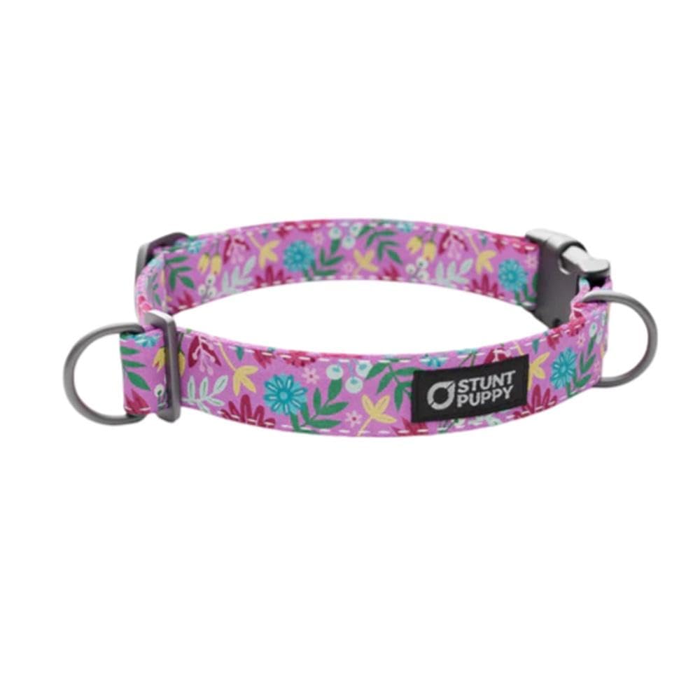 Frolic Summer Everyday Collar, Small