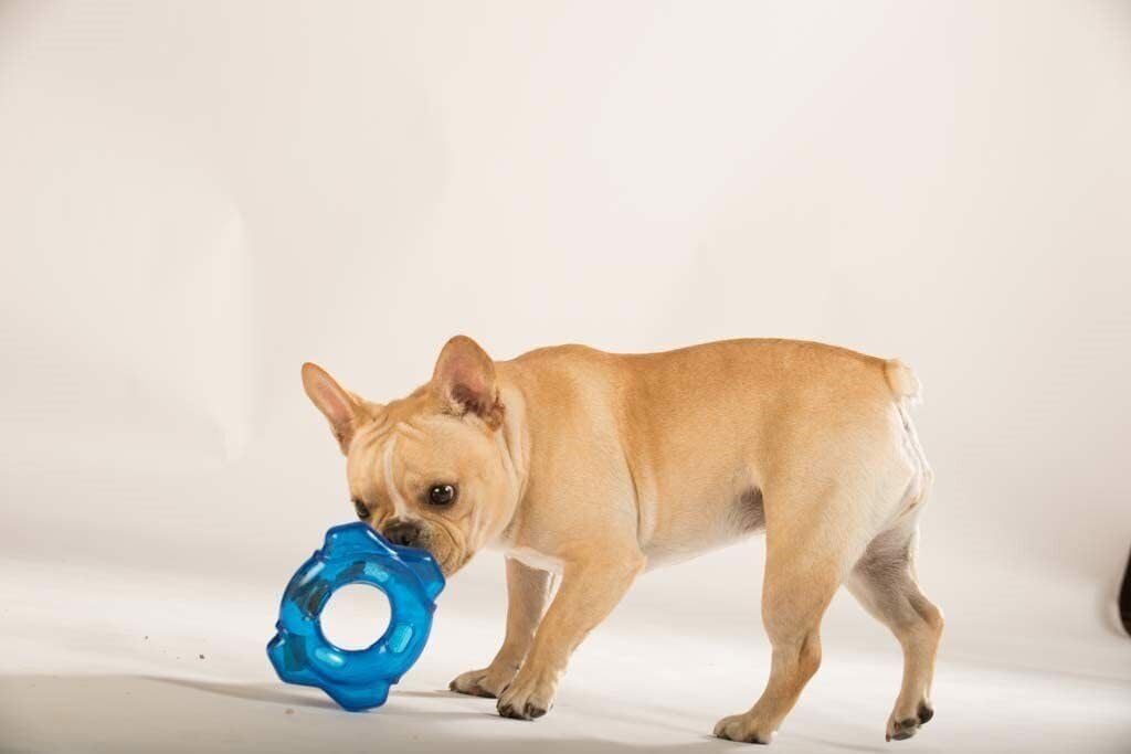 Hero Snacktime Soft Rubber Widget, Small, Blue Dog Toy