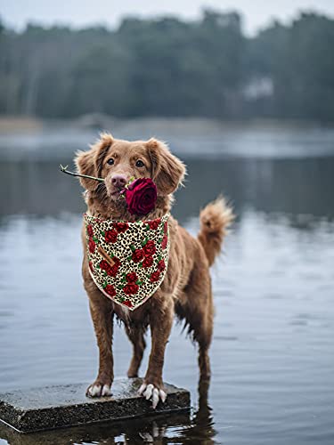 Lionheart Glory Dog Bandana 1 Pack Washable Soft Cotton Rose Leopard Bibs Scarf, Adjustable Kerchief Square Dog Bandanas For Lar