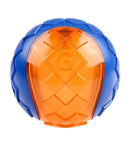 Dog Trust Dog Solid/Transparent Squeaker Ball Dog Toy (Colors May Vary, Large) For Large Breeds