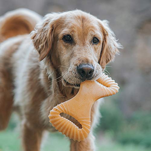 Benebone Dental Durable Dog Chew Toy For Aggressive Chewers, Real Bacon, Made In Usa, Large