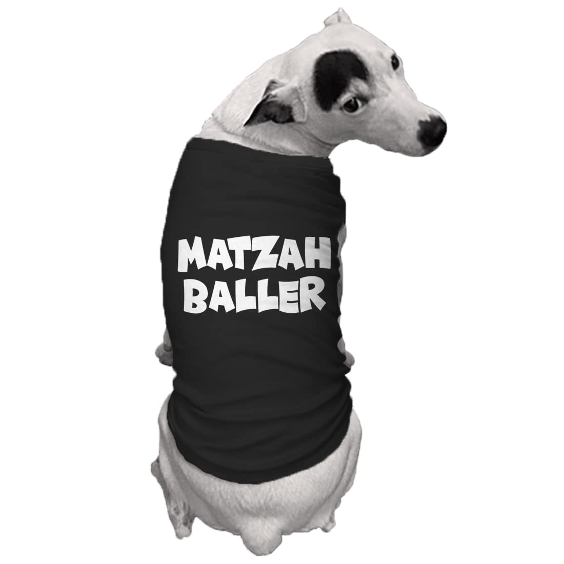 Matzah Baller - Matzo Hanukkah Passover Seder Dog Shirt (Black, Medium)