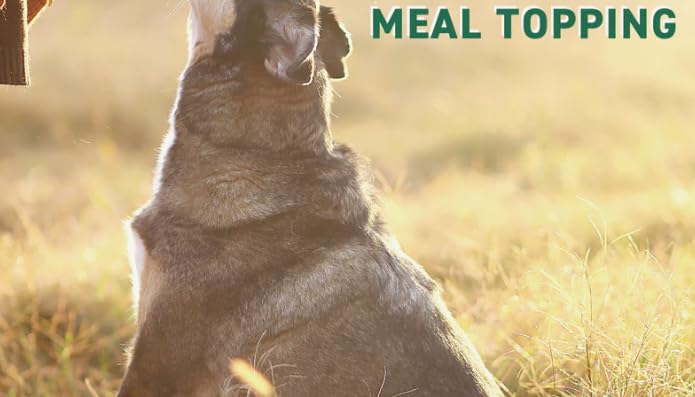 Nutri Bites Freeze Dried Beef Liver Dog & Cat Treats | Healthy Pet Training Treats or Food Topper | All Natural, Single Ingredie