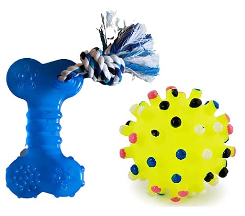 Rvpaws Dog Tennis Bouncy Ball With Sound Ball Multicolor Toy For Dog Bone Teething Toy (Combo Of 2, One Ball And One Chew Boneto