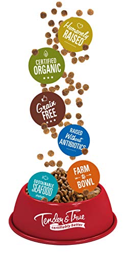 Tender & True Organic Turkey & Liver Recipe Dog Food, 4 lb