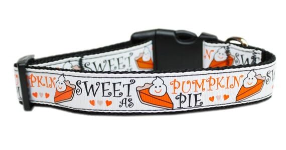 Pet Dog & Cat Nylon Collar or Leash, "Pumpkin Pie" MD Collar