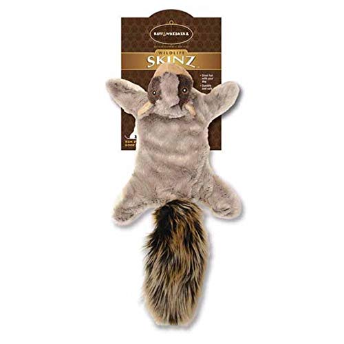 Ktr Group Inc Ruff & Whiskerz Skinz Squirrel Dog Toy