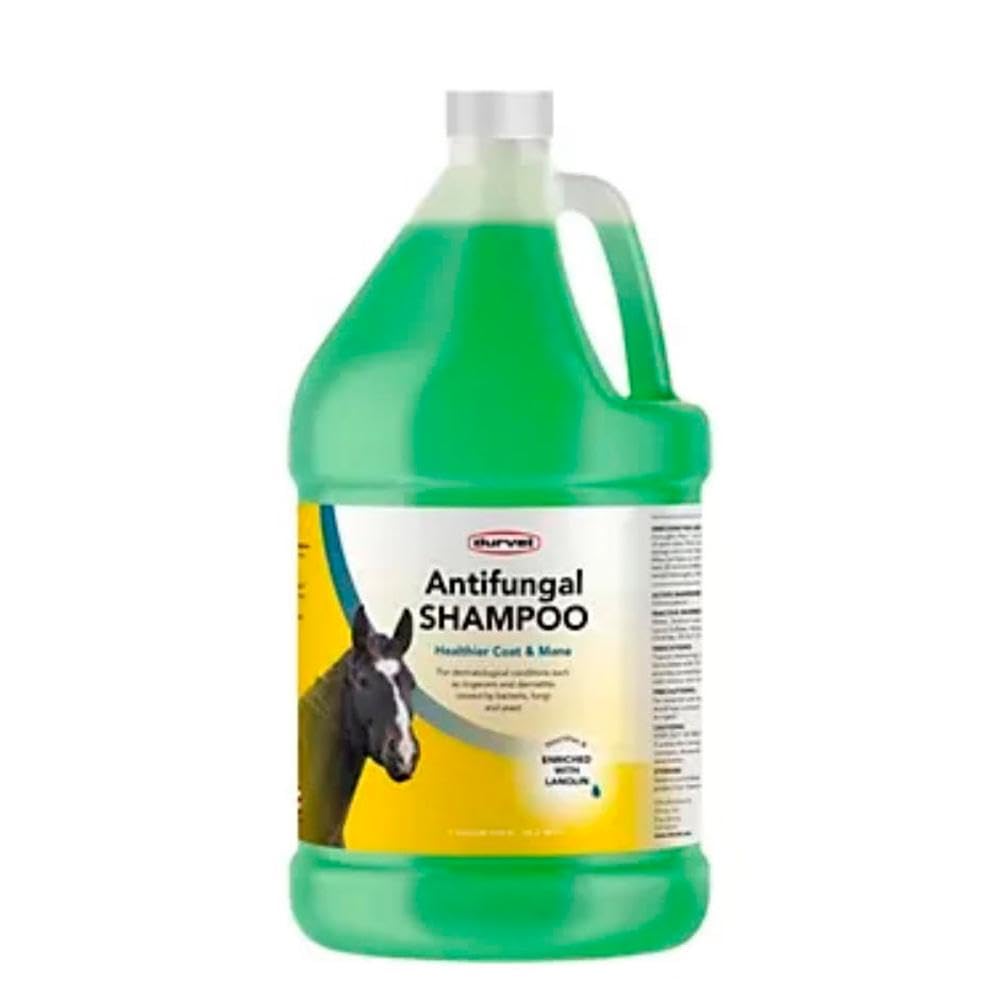 Durvet Antifungal Equine Shampoo 1 Gallon