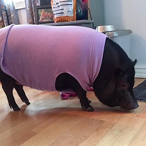 Gooby - Stretch Fleece Vest, Pullover Fleece Vest Jacket Sweater for Dogs, Mint, 4X-Large