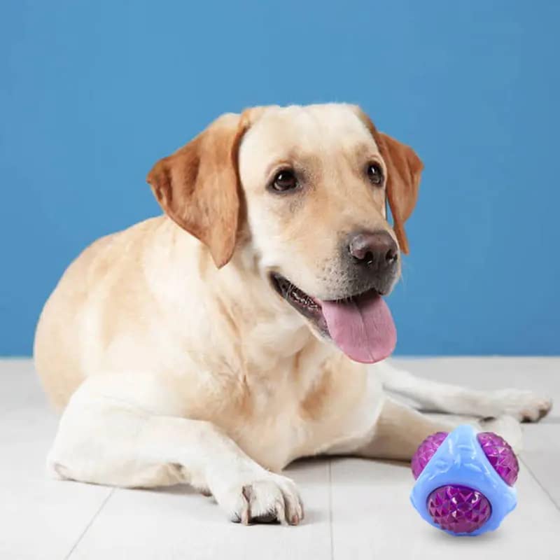 Pups&Pets Imported Rubber Durable 11Cm Ball For Adult Dogs Toys For Dogs (Led Ball) Squeaky Chew Toy For Ball Toy Interactive Ba