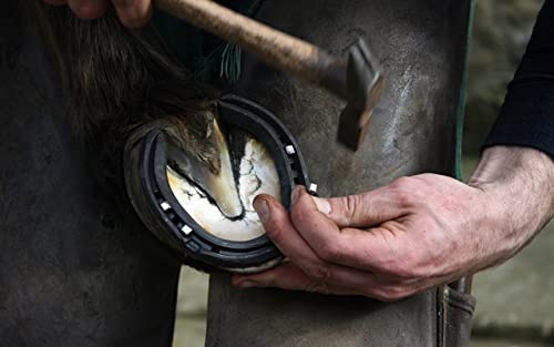 Diamond Farrier Dctr Double-Beveled Clinch Cutter, Steel