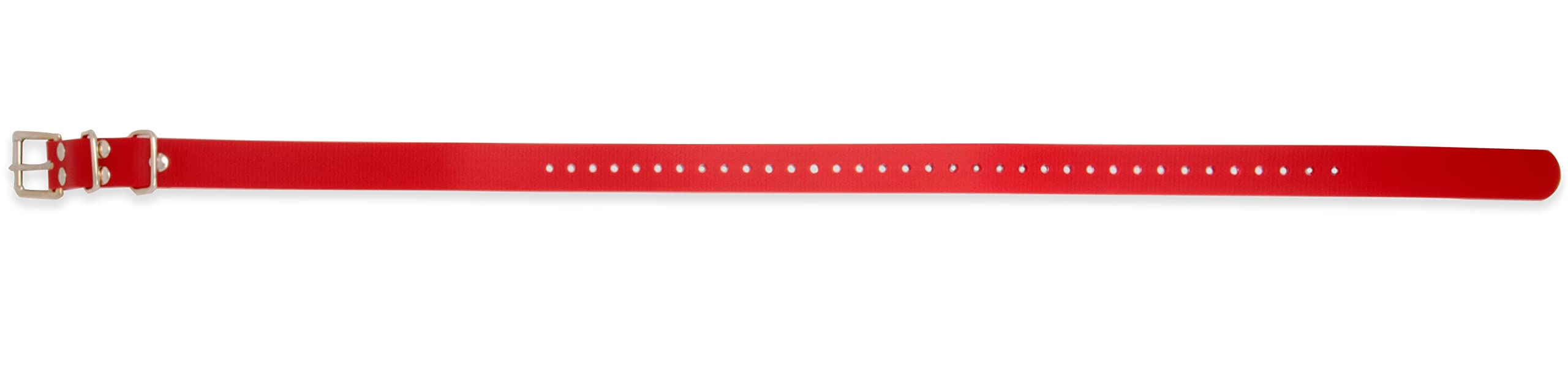 Educator Biothane Dog Collar, Waterproof, Odorproof, Metal Buckle And D Ring, Adjustable For Custom Fit, Cool And Comfortable, For Small, Medium, Or Large Dogs, 1-Inch, Red