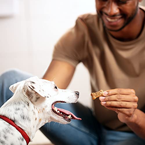 Milk-Bone Minis Flavor Snacks Dog Treats, 36 Ounce Crunchy Texture Helps Reduce Tartar