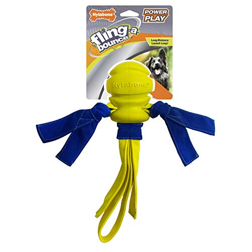Nylabone Power Play Dog Fetch Toys Fling-A-Bounce Fling-A-Bounce Large (1 Count)