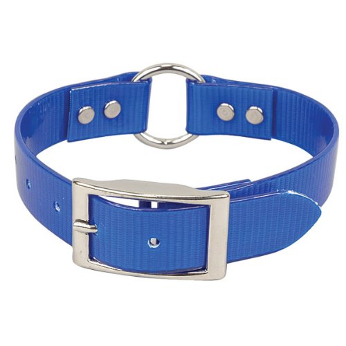 Omnipet Sunglo Ring-In-Center Dog Collar, 3/4'' Wide, Blue, Fits 11.5''- 15'' Neck Sizes, Vibrant Colors & Tough Construction Fo