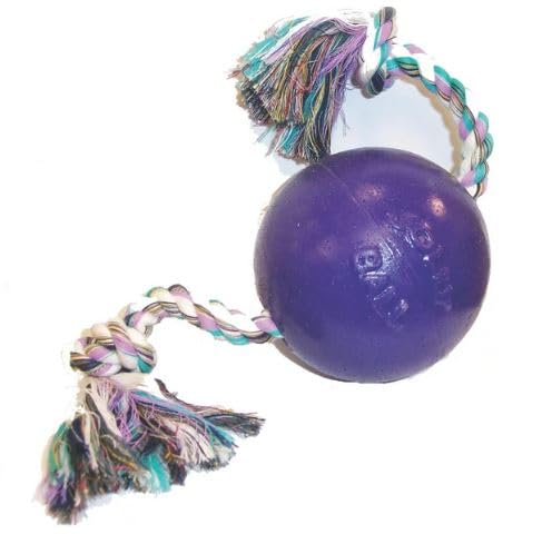 Jolly Pets Romp-N-Roll Rope And Ball Dog Toy, 4.5 Inches/Small, Purple, 4.5-Inch Romp-N-Roll, Purple